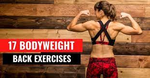bodyweight back exercises redefining