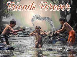 friends forever whatsapp dp images