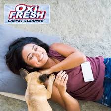 oxi fresh carpet cleaning 58 photos