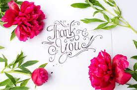Are you searching for christmas thank you clip art images? 5 470 Thank You Flowers Photos Free Royalty Free Stock Photos From Dreamstime