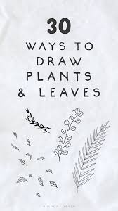 30 Easy Ways To Draw Plants Leaves