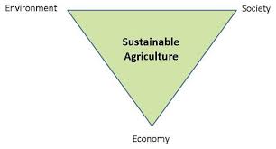 sustainable agriculture learn science