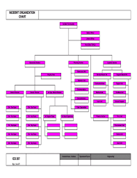 37 Printable Ics Organizational Chart Forms And Templates