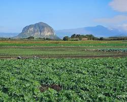 제주 마라해양도립공원 풍경, AI로 생성