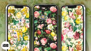 10 free flower wallpapers for iphone in