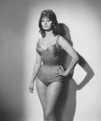 Sophia Loren (1960s) : OldSchoolCelebs