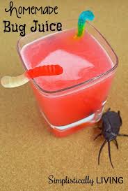 homemade bug juice simplistically living