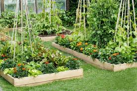 all about raised bed gardens this old