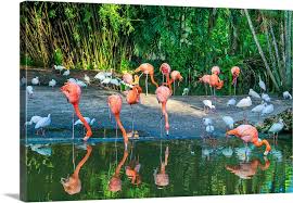 Florida Davie Flamingo Gardens West