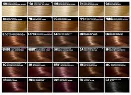 Garnier Hair Colours Chart Hair Color Ideas And Styles For
