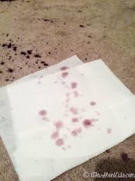 how to get candle wax out of carpet a