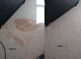 carpet cleaners and stain removal