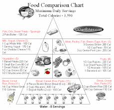Diet Bites Food Pyramid Comparison Chart 3 500 Calories