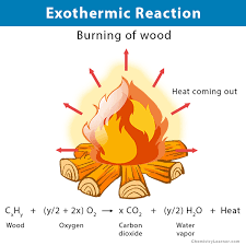 exothermic reaction definition
