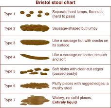 Bristol Stool Chart Core Health
