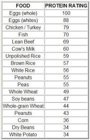 Biological Value Of Protein Doctorscare Doctorswellness