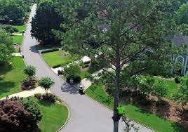 ︎ buford lawn care service co. Tree Removal Buford Ga Tree Service Tree Removal Service Llc