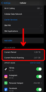 mobile data usage on an iphone