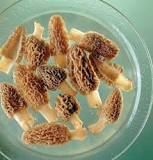 What to do with morels before cooking?