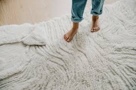 healthier alternative meet rugs by roo