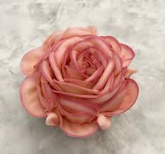 Top Tips For Ercream Roses
