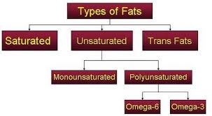 Facts About Fats And Oils In Your Diet