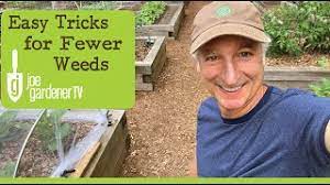 easy tricks for fewer weeds you