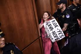 Image result for kavanaugh the traitor