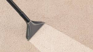 collect carpet cleaning service