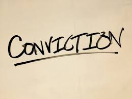 Image result for convictions