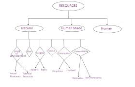 Draw A Flowchart On Classification Of Resources Social