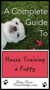 House Training A Puppy The Ultimate Guide