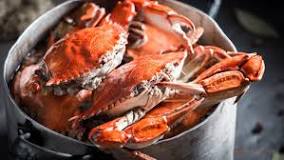 Why do crabs have to be boiled alive?