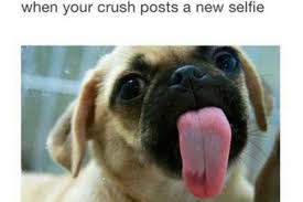 Funny Crush Memes - What It Feels Like To Have A Crush via Relatably.com