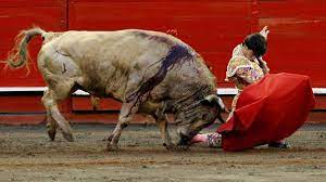 El Español José Garrido corta oreja a bravo toro en la Feria de Manizales