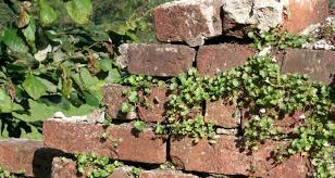 how much to build a garden brick wall