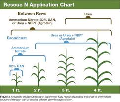 Rescue Nitrogen Application Often Boosts Corn Yields 2010