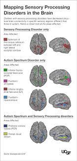 kids with autism sensory processing