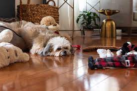 pet friendly flooring options that are