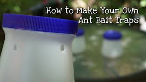 make your own ant bait traps