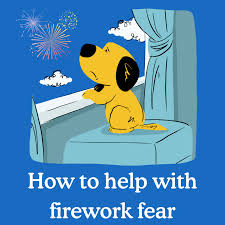 why dogs are scared of fireworks zigzag