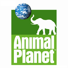ANIMAL PLANET (UK) Backup NO_1