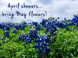 April Showers and May Flowers: Positivity and Looking Toward the Sunshine | Avenues for Women