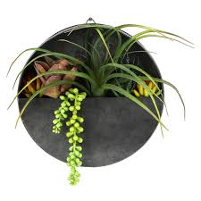 Round Air Plant Wall Decor Metal And