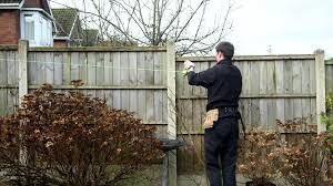 Well.designing a cat proof fence seems difficult expensive and often is an eye sore. How To Diy Cat Proof A Garden Fence By Protectapet Youtube