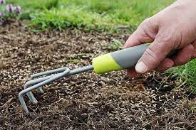 How Deep To Plant Grass Seed For Lawn