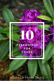 Choose below from our full shade perennials. 10 Best Perennials For Shade Whats Ur Home Story