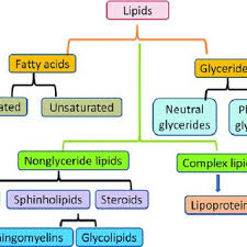 6 clification of lipids