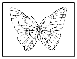 The butterfly is a good theme for kids to develop their habit of coloring and painting, introduce them new colors, improve the creativity and motor skills. Drawing Butterfly 15673 Animals Printable Coloring Pages