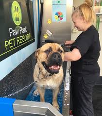 As a tick feeds, its body will swell dramatically, and one tick may. World Leader In Self Serve Dog Wash Stations Furever Clean Dog Wash Inc
